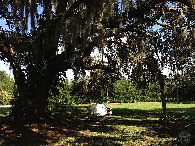 Anderson Homestead swing