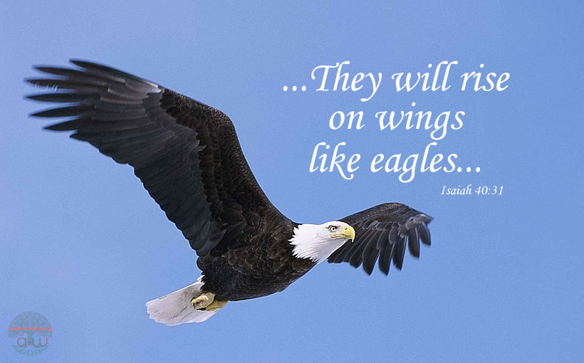 They will rise on wings like eagles