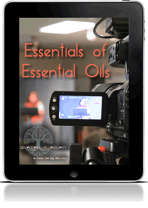 essentials of essential ipad