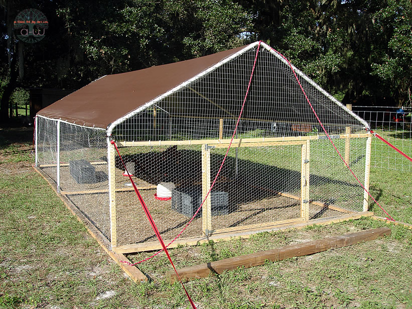 Chicken Tractor