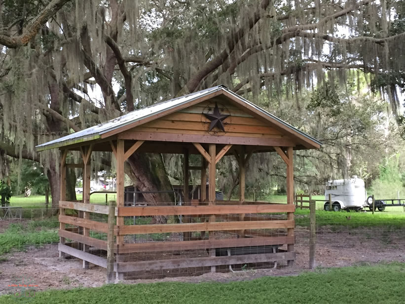 Milking Shed